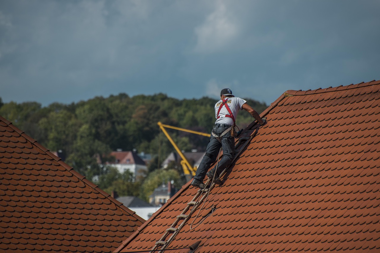 Naprawa dachu po kunie – jak zabezpieczyć dach przed kolejnymi szkodami