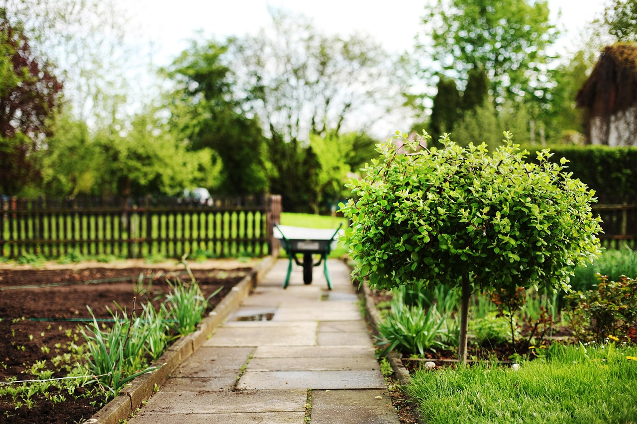 e-gardenpark.pl – kompleksowe wyposażenie ogrodu dla pasjonatów zieleni